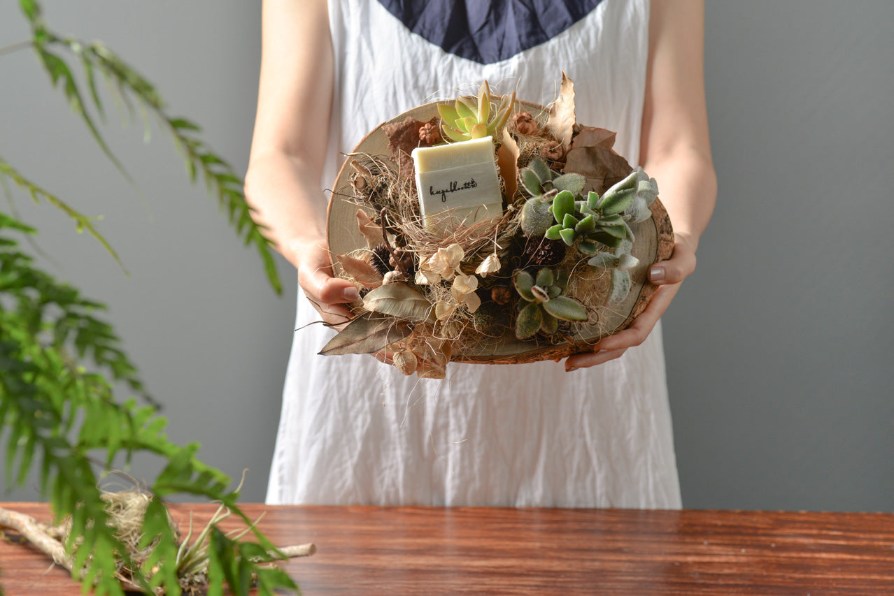 Momo Design Garden 多肉盆栽