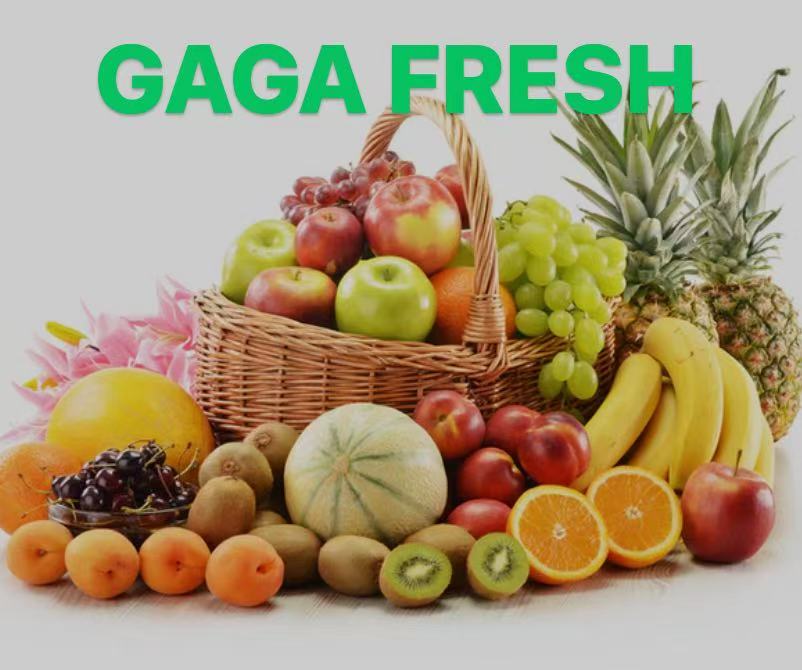 GAGA FRESH