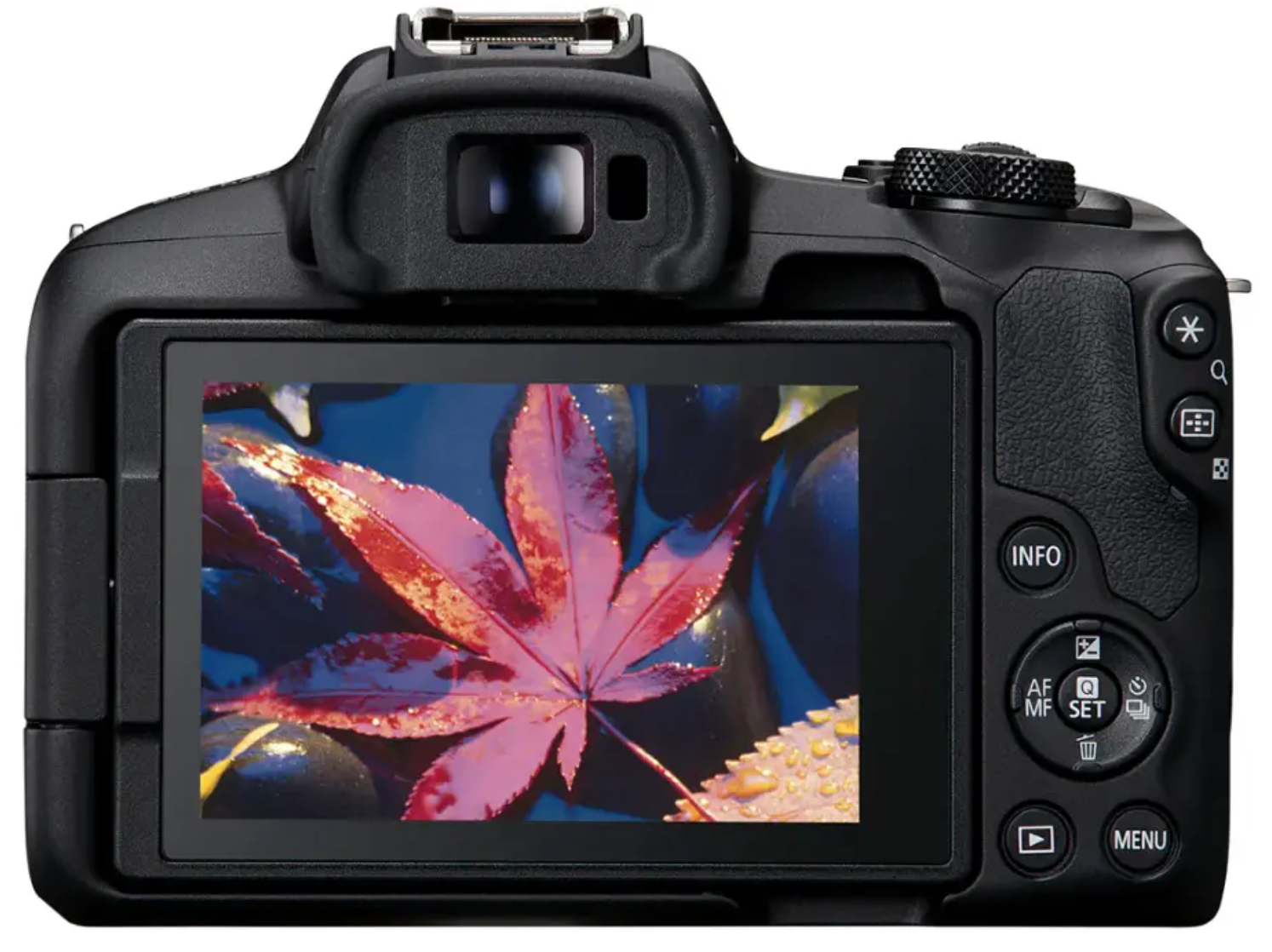 佳能 - EOS R50 4K視訊無反光鏡相機（僅機身）-黑色