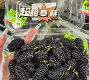 超甜新鮮桑葚 一磅