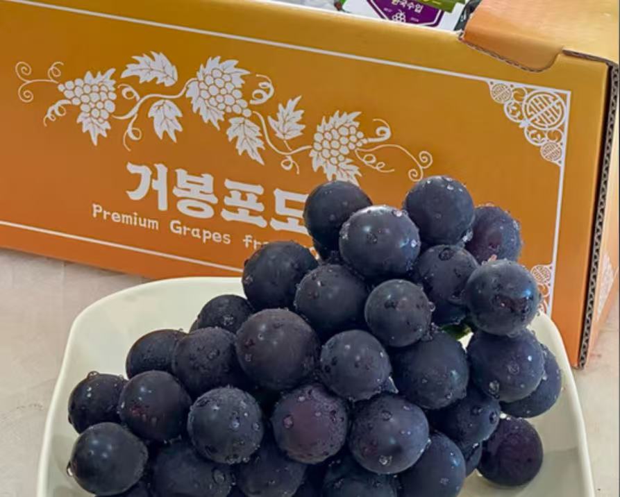 韓國進口巨峰葡萄 整箱 2kg