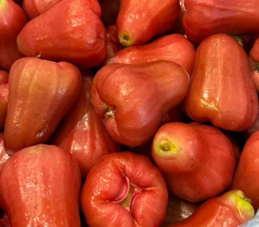 台灣 精選大號蓮霧 超甜 1kg