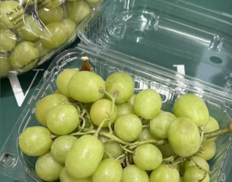 美國本土 晴王Sugar 54 1kg