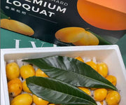 泰萊琵琶 大果 1kg