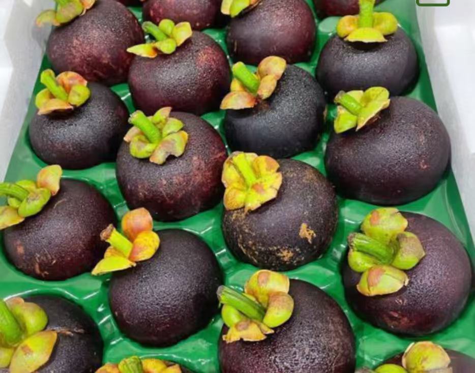 澳洲進口 昆士蘭 大號山竹 1kg