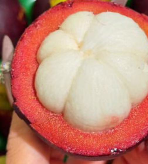 澳洲進口 昆士蘭 大號山竹 1kg