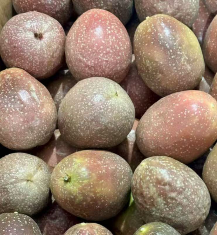 澳洲進口 超大號 PANAMA百香果 1kg