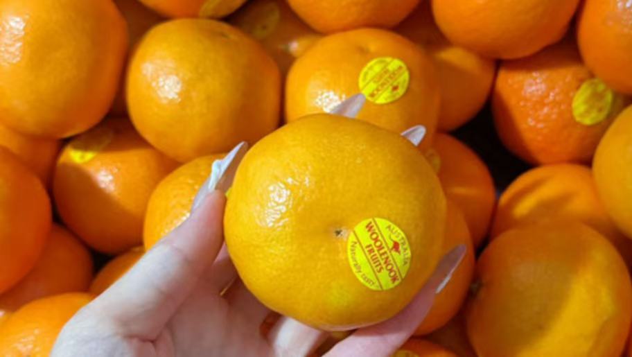 澳洲進口 Woolennook 砂糖橘 1kg