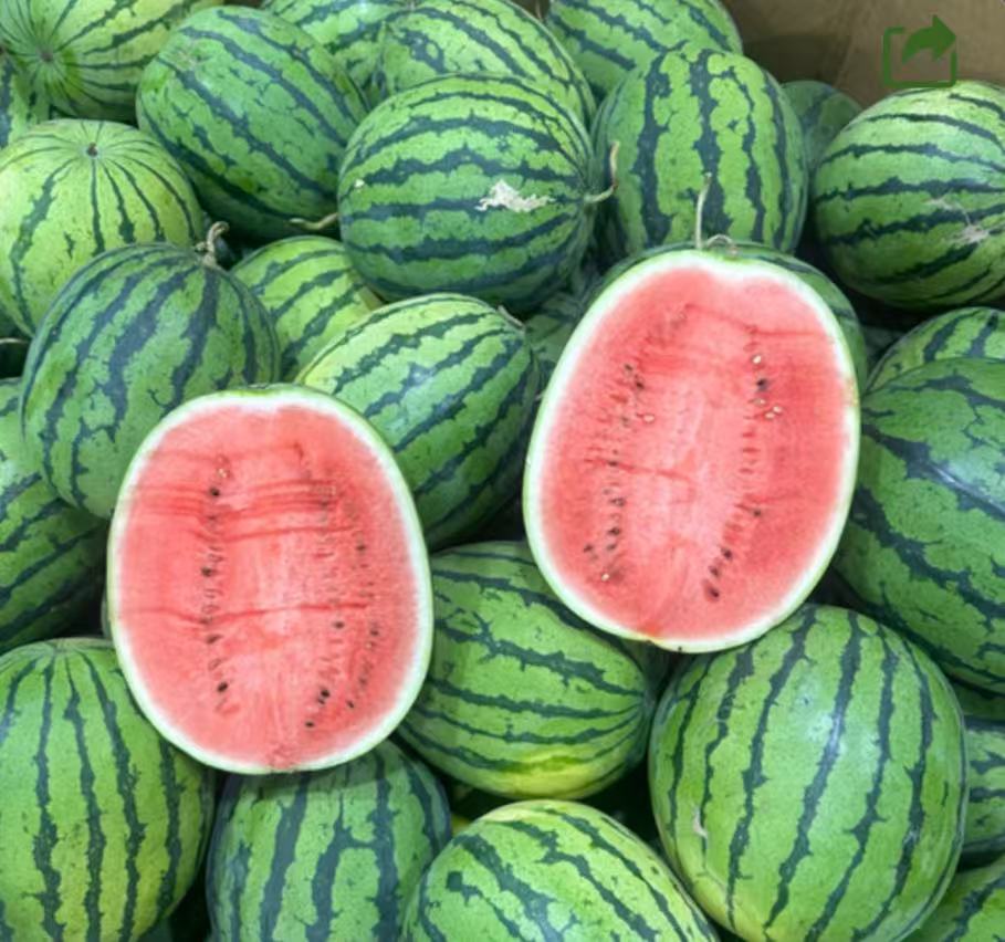 虎紋小西瓜 2.5kg