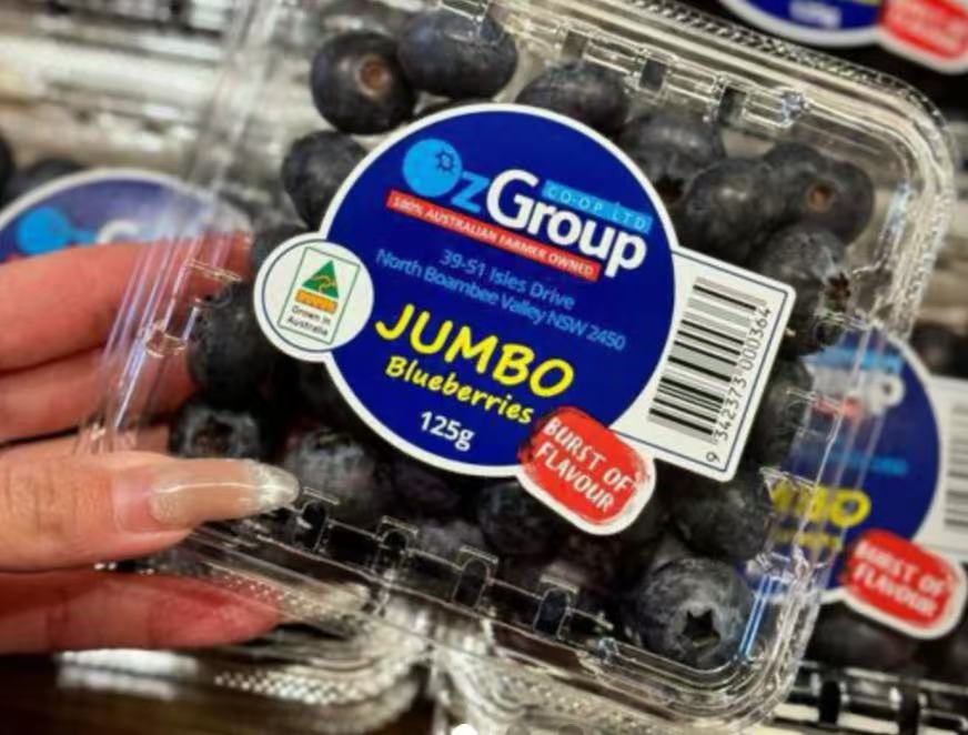 澳洲進口 有機 Jumbo 藍莓 1盒