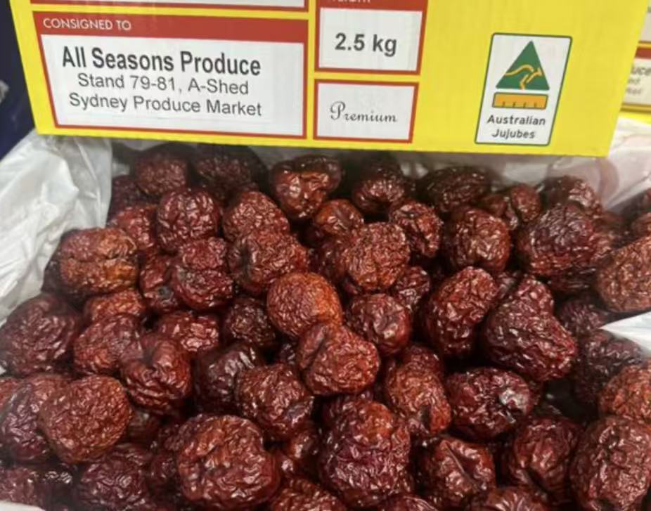 澳洲進口 龍牌 紅棗乾 250g