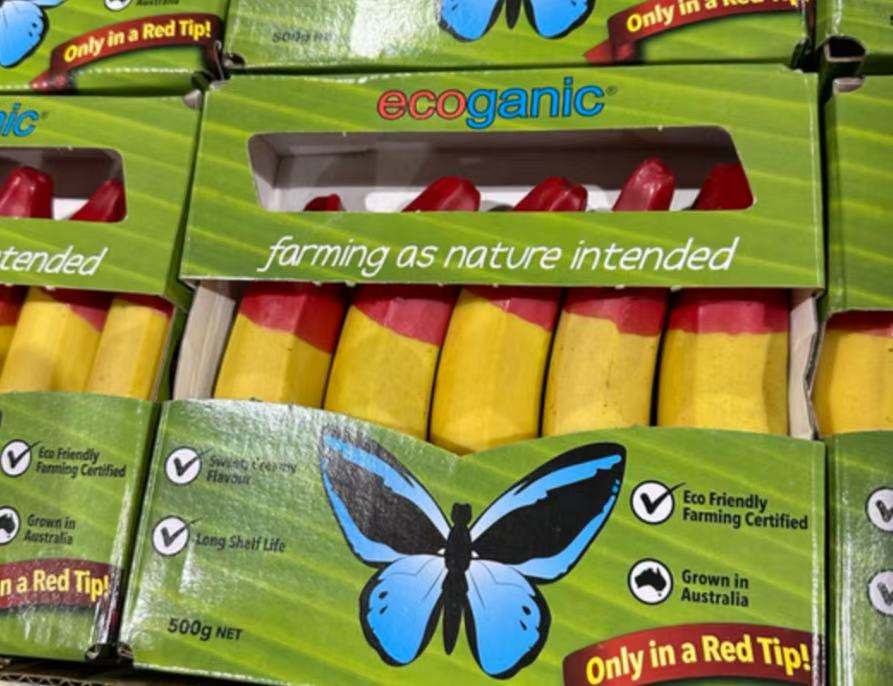 馬來西亞進口 有機香蕉1kg