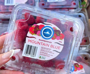 澳洲進口樹莓 125g*6