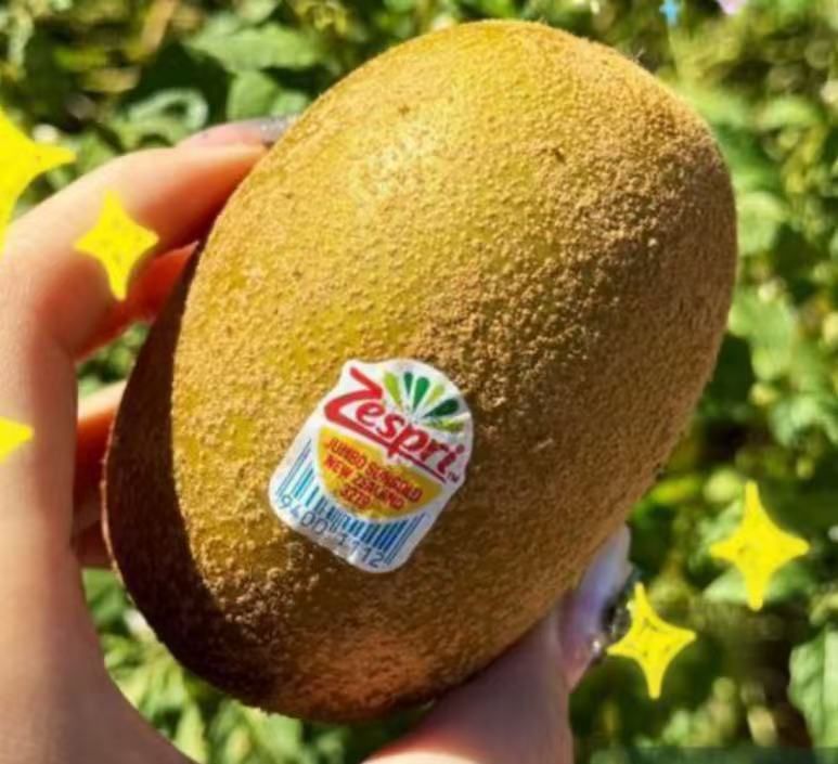 紐西蘭進口 Zespri 黃金奇異果 1kg