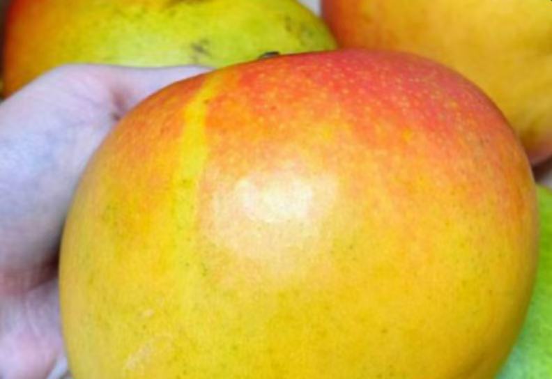 澳洲進口 R2E2澳芒 2顆