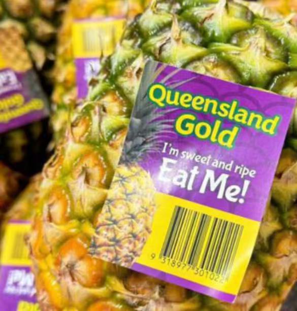 澳洲進口 昆士蘭 大號香水菠蘿 2顆