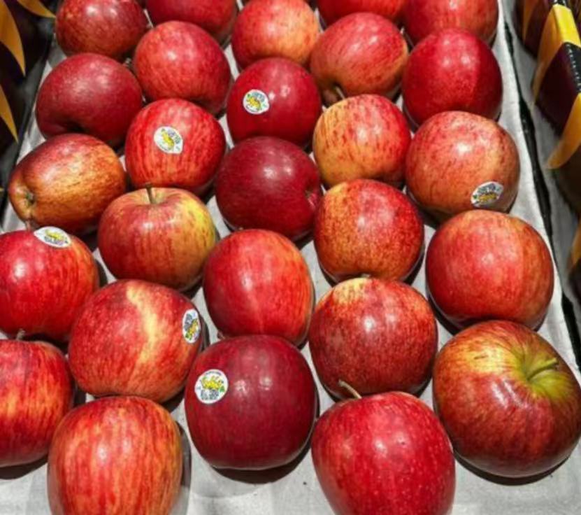 澳洲進口 塔斯馬尼亞 Tiger紅富士蘋果 2kg