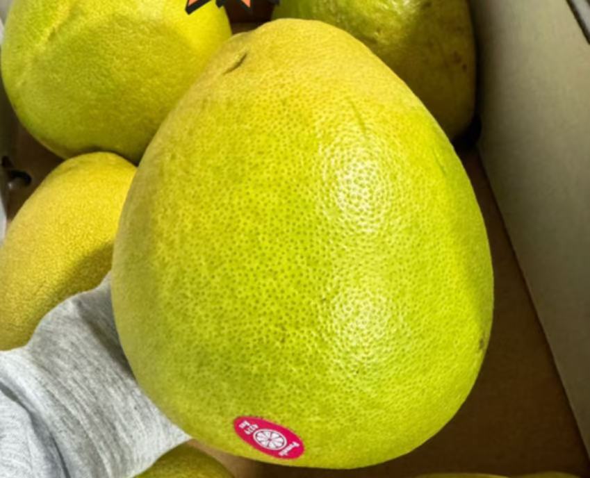 越南進口 砂糖橘 3kg