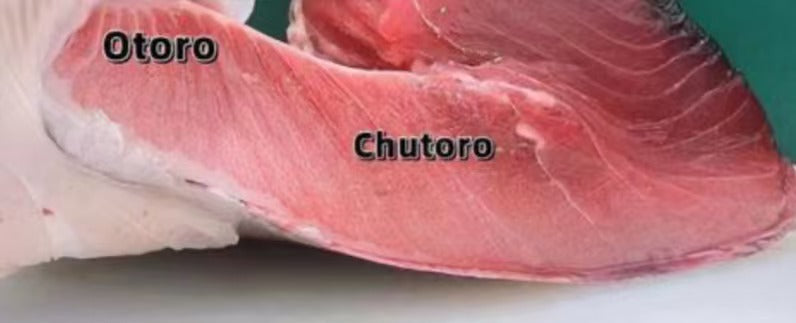 藍鰭金槍魚 中腹 Chutoro 140g