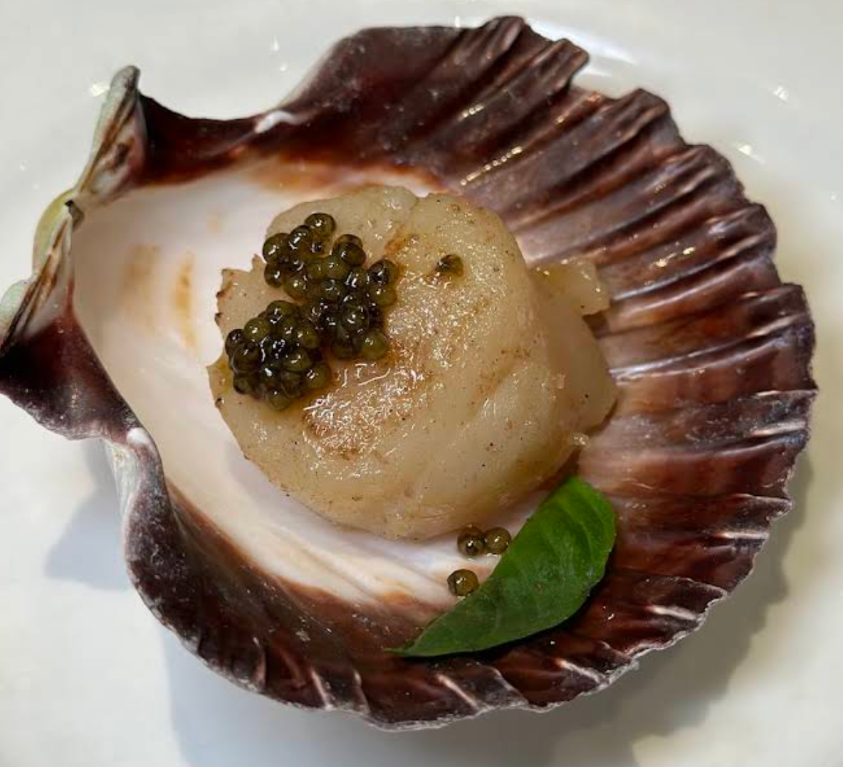 Lightly Grilled Scallop 輕灼北海道元貝