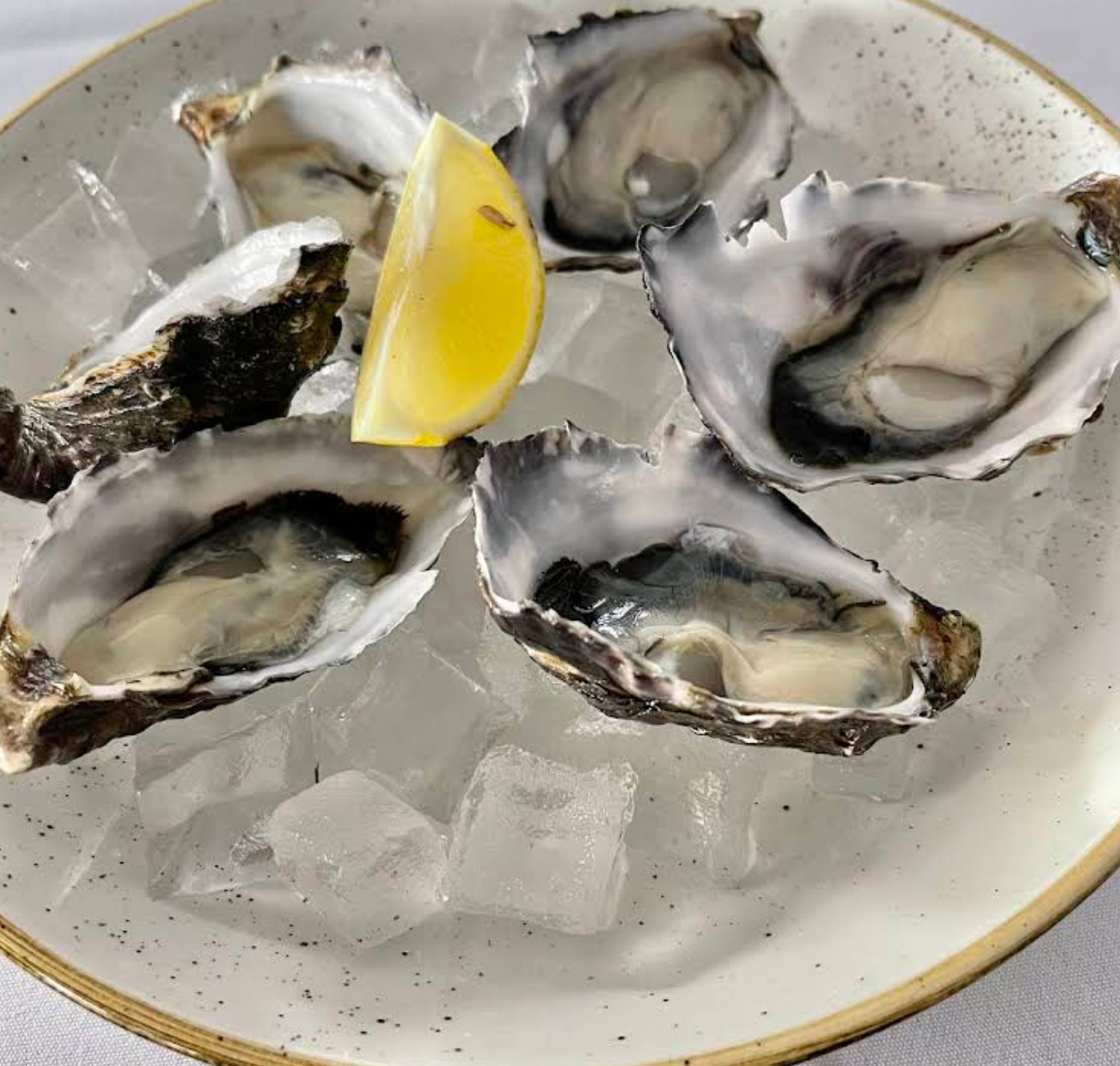 Natural Oyster Half Dozen 新鮮現開生蠔 半打