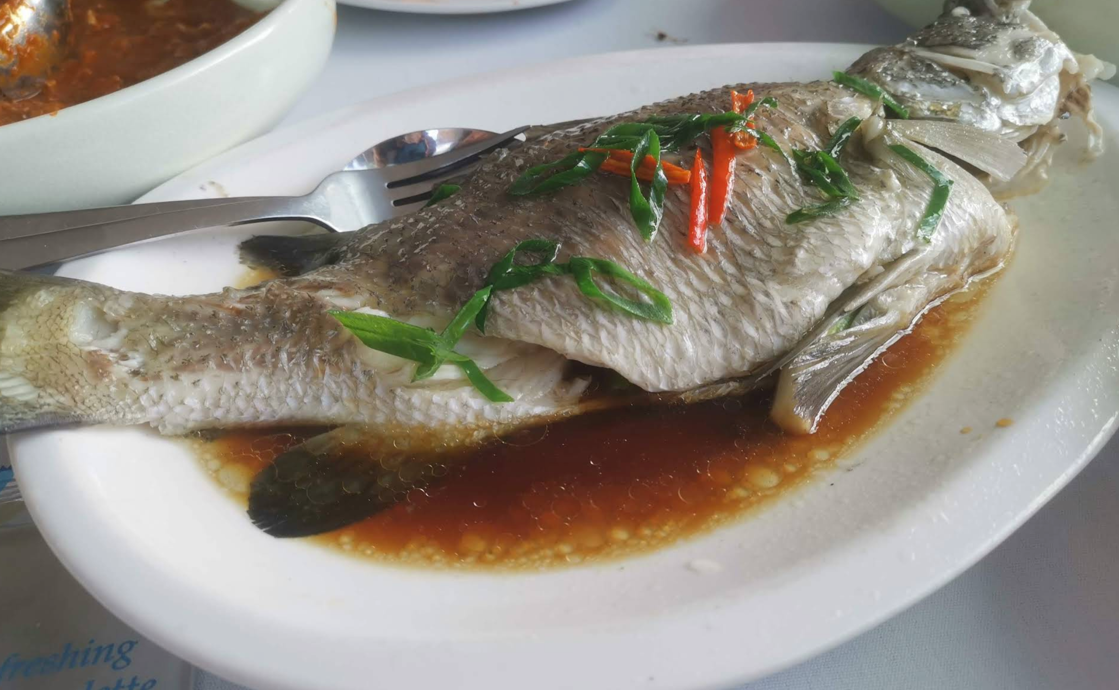 Ginger& Shallot Steamed Barramundi 蔥薑蒸盲曹