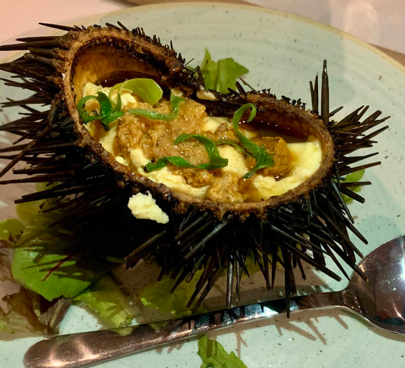 Uni Steam Egg 海膽蒸蛋 6隻