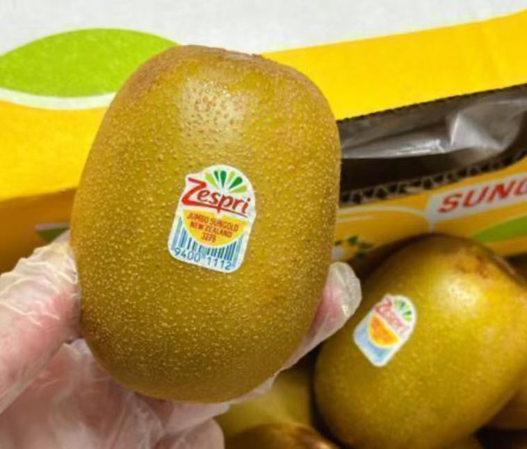 紐西蘭進口 Zespri 黃金奇異果 5.5kg一箱