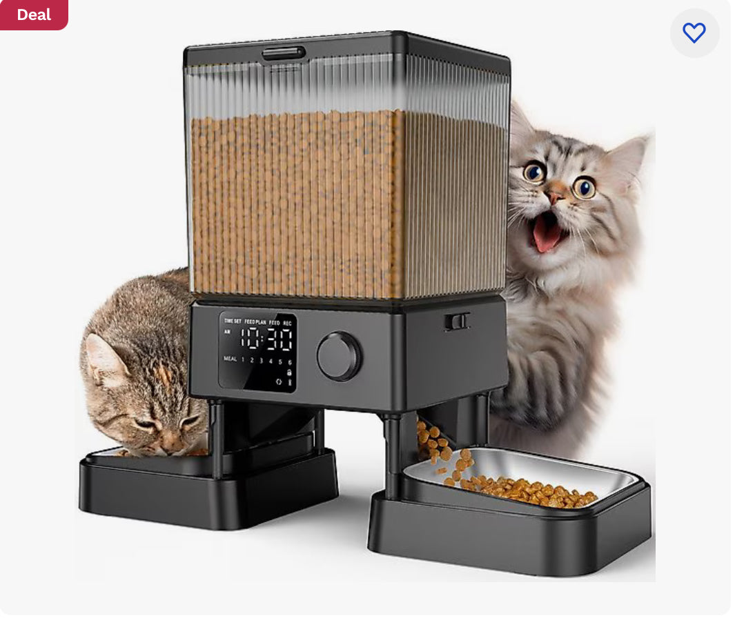 OneIsAll 不鏽鋼自動雙碗貓餵食器，黑色，20 杯