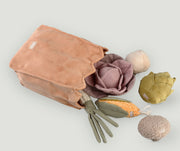 狗狗玩具 農夫市集套裝