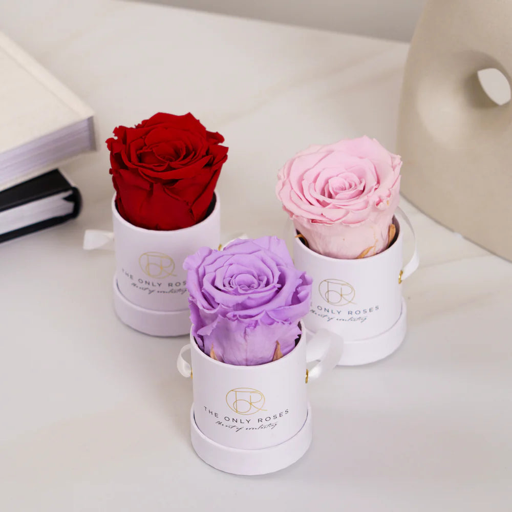 白色經典小圓帽盒