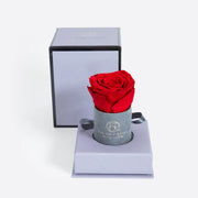 灰色絨面小圓帽盒