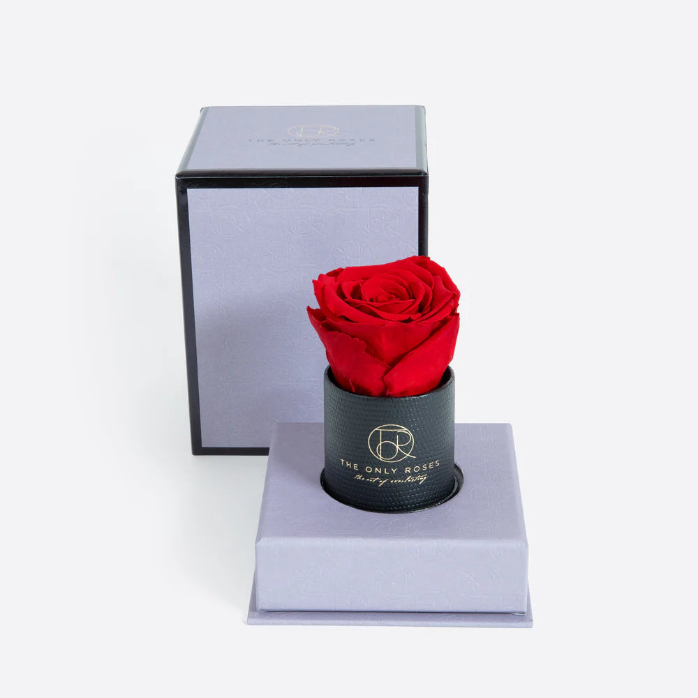 黑色皮革小巧圓形帽盒