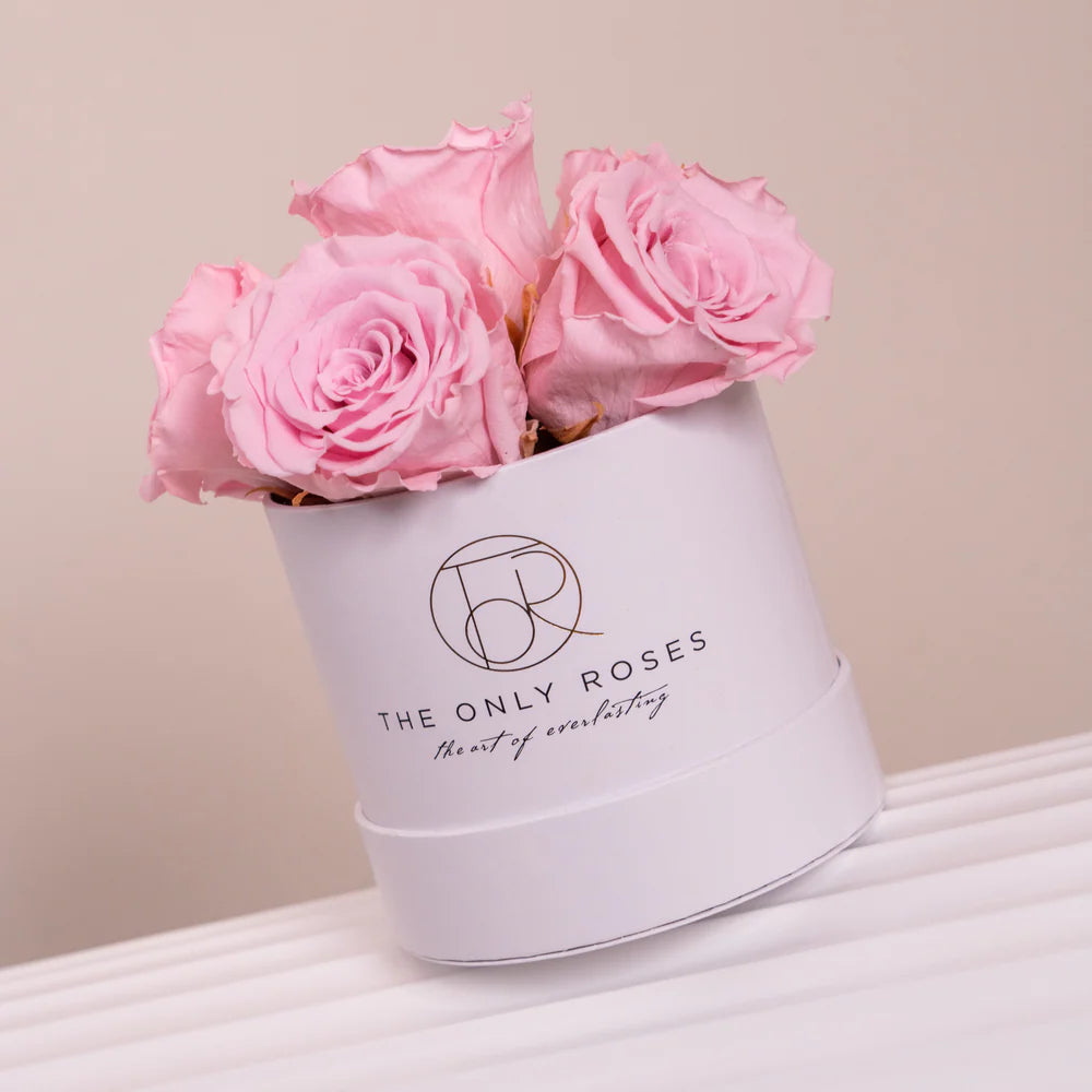 白色經典小圓帽盒