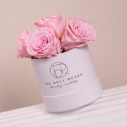 白色經典小圓帽盒