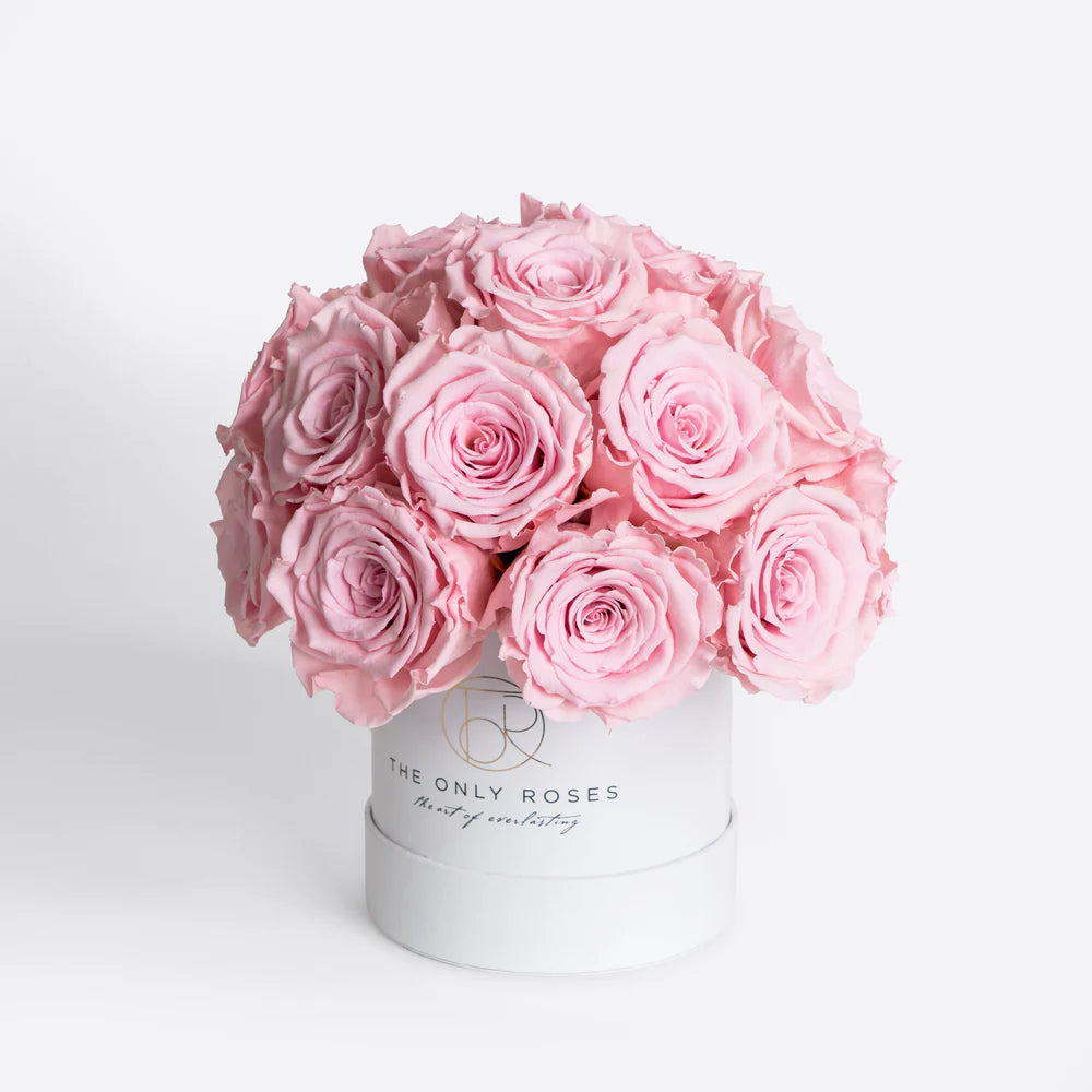 白色經典小圓帽盒玫瑰圓頂