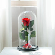 美女與野獸玫瑰