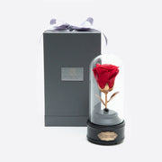 美女與野獸音樂球