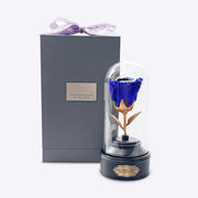 《美女與野獸》音樂球中的邪惡之眼符號