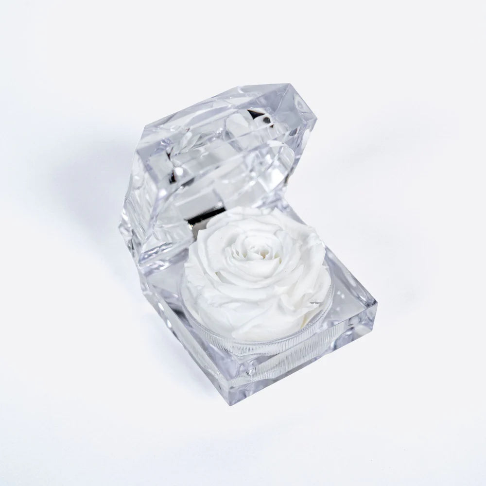 迷你方形首飾盒