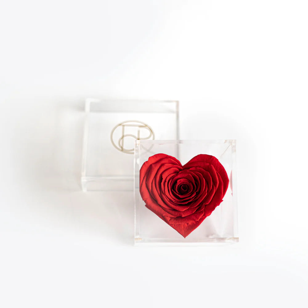 心型玫瑰，小巧方形珠寶盒