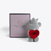 心形玫瑰泰迪玫瑰熊