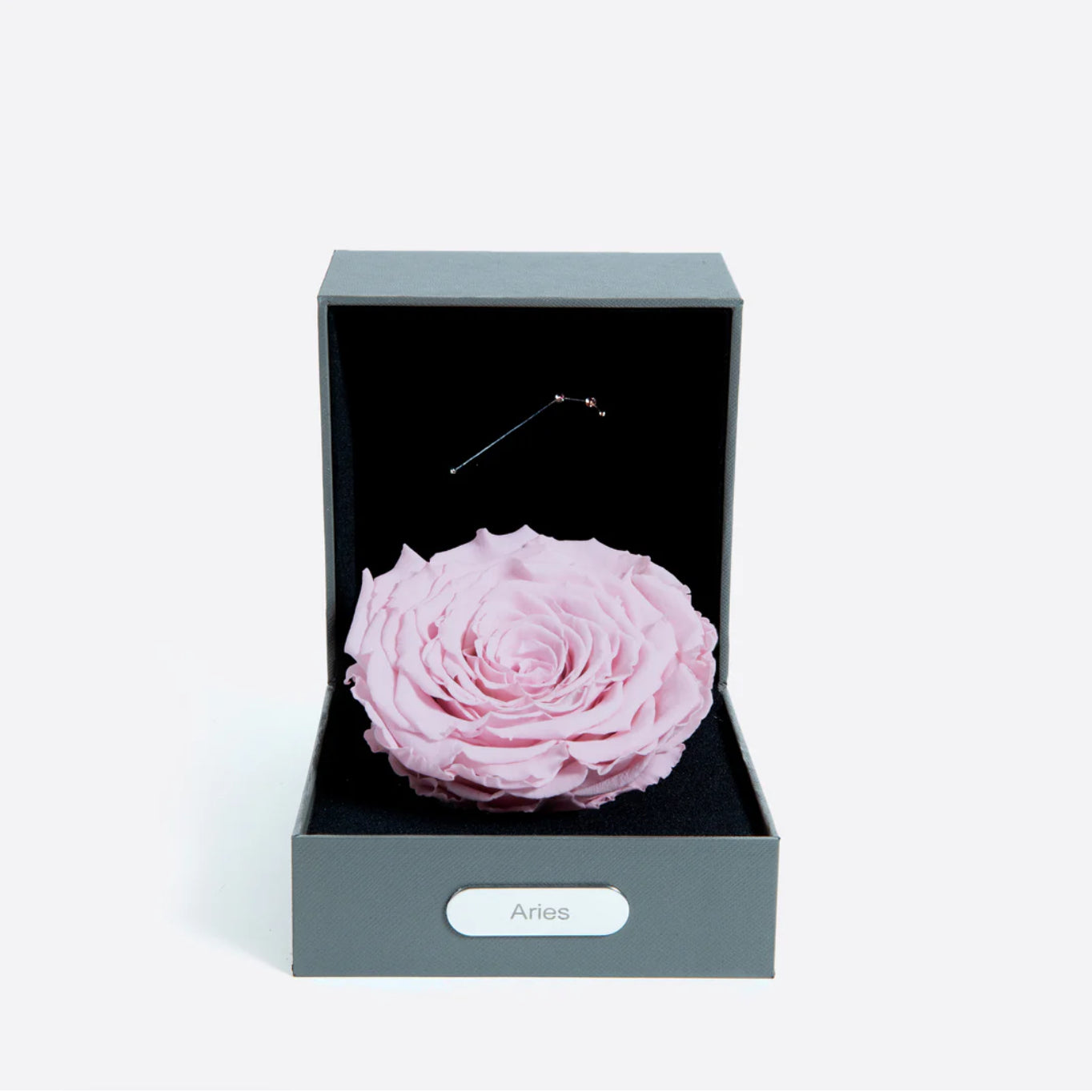 牡羊座 (3月21日 - 4月19日)