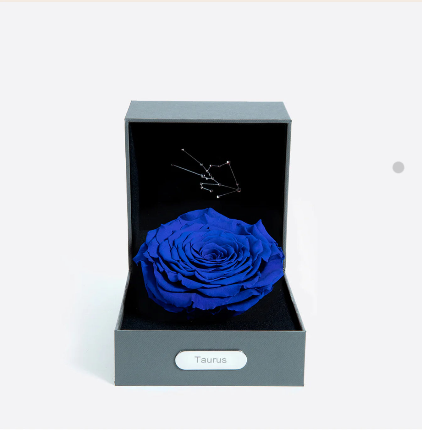 金牛座 (04/20 - 05/20)