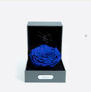 金牛座 (04/20 - 05/20)