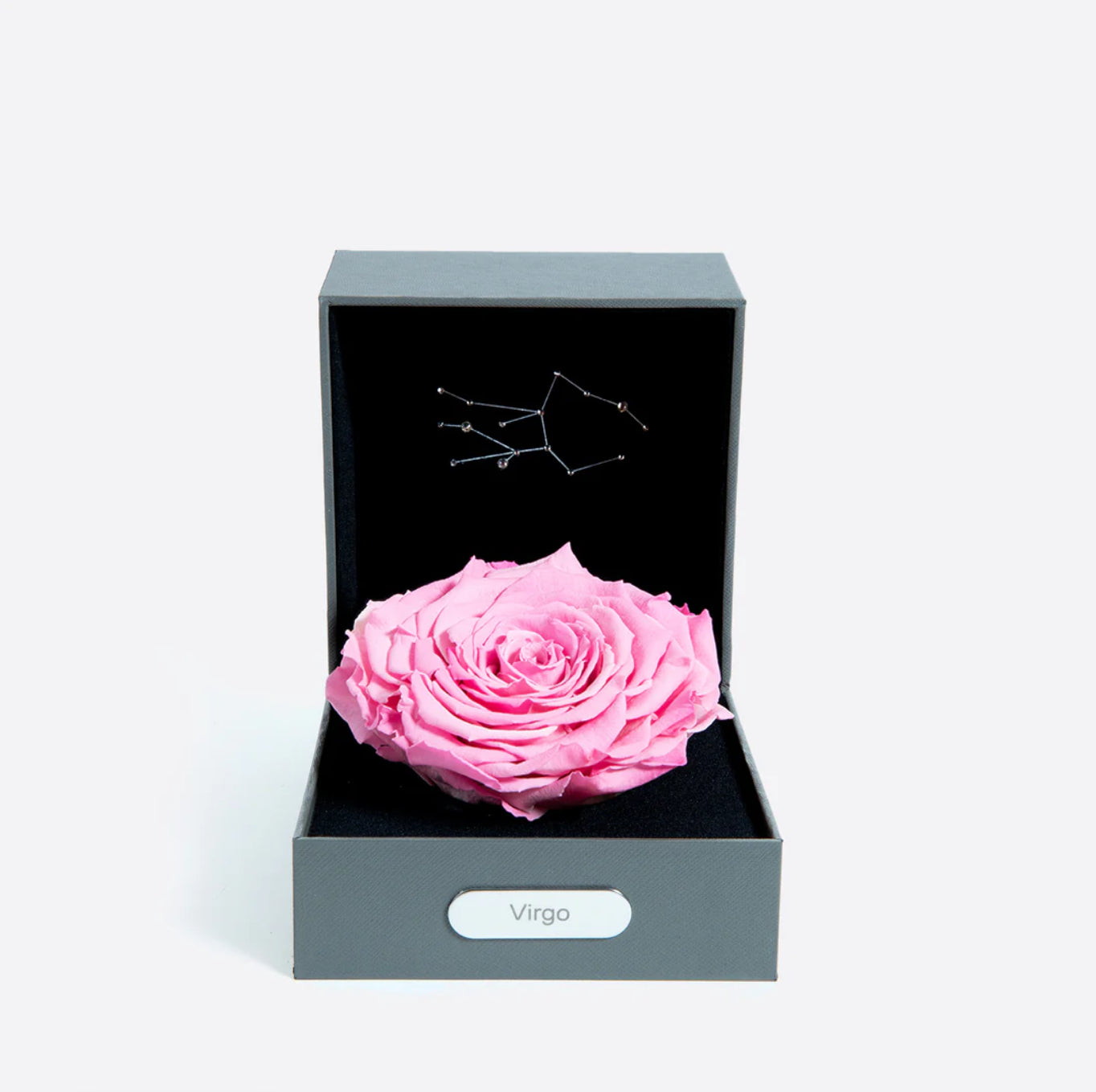 處女座 (08/23 - 09/22)