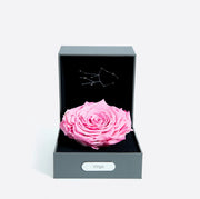 處女座 (08/23 - 09/22)