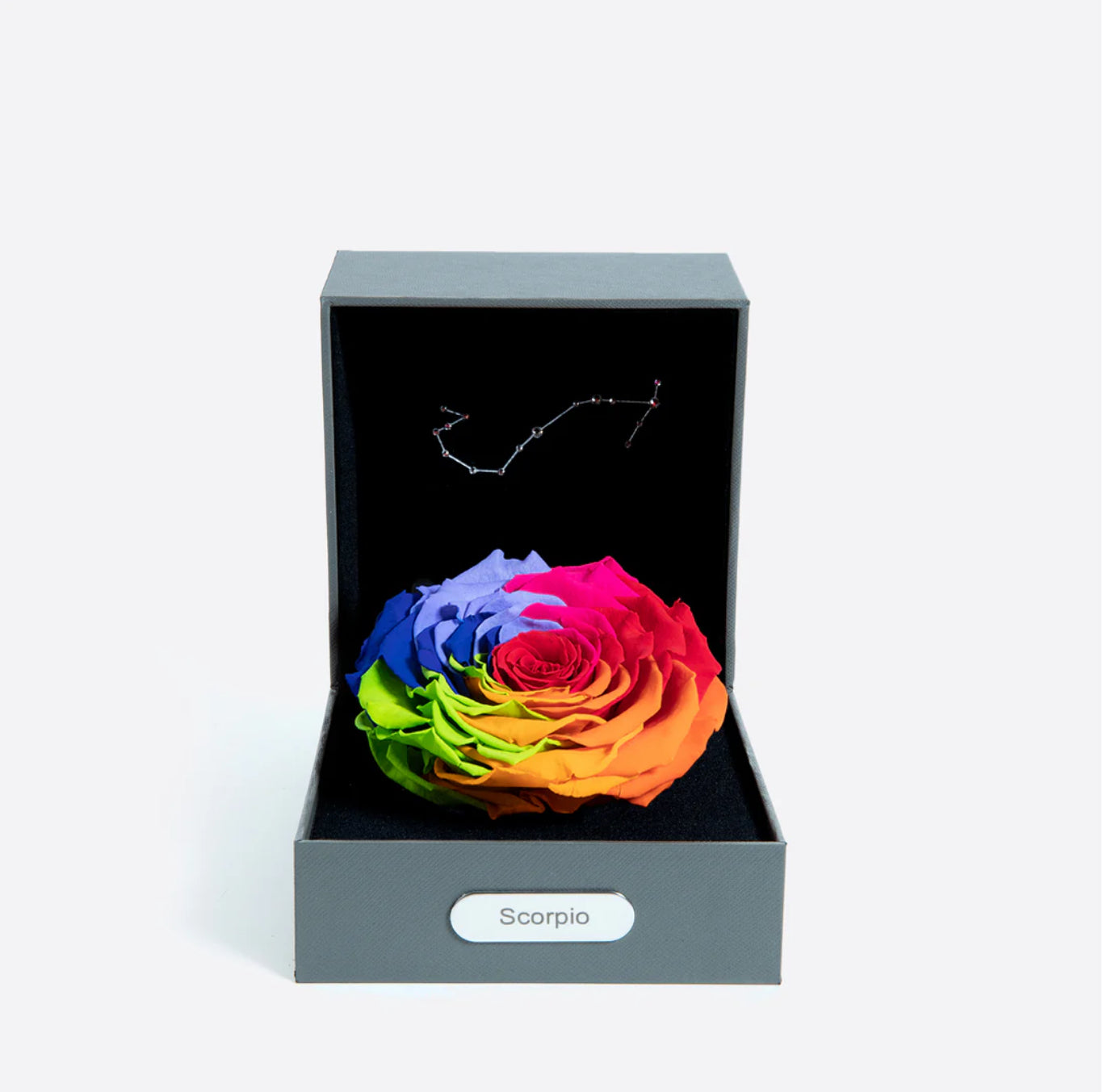 天蠍座 (10/24 - 11/22)