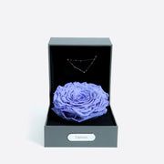 摩羯座（12月22日-1月19日）