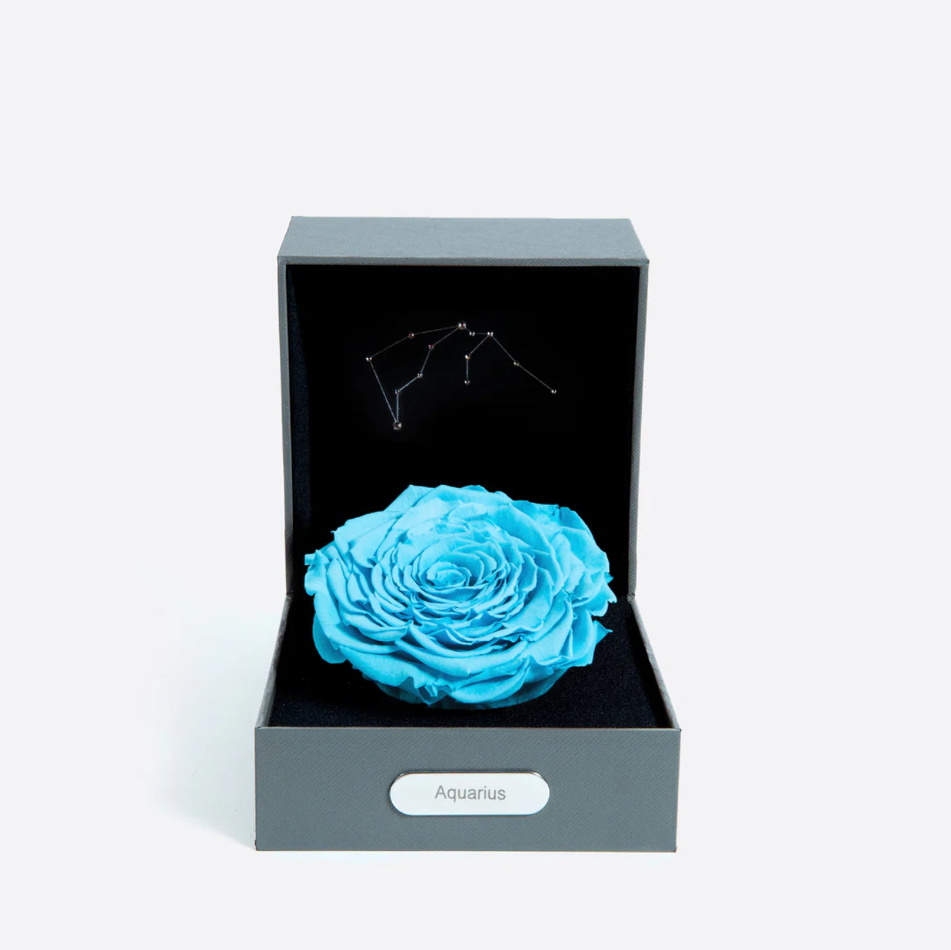 水瓶座 (01/20 - 02/18)